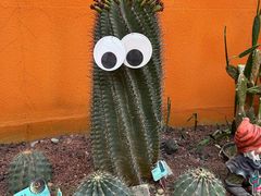 -正佳雨林生态植物园