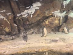 -哈尔滨波塞冬海底世界