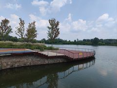 -东郊湿地公园