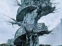 -芒洲湿地公园