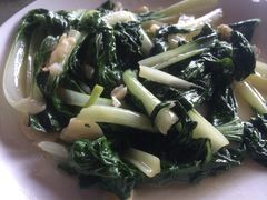 -鲤鱼塘农家山庄