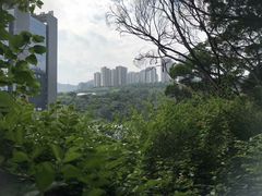 -攀枝花公园