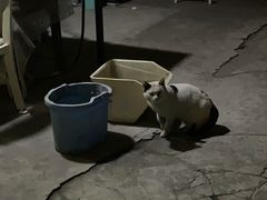 -二楼南书房