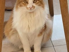 -氷冰凉刨冰甜品(北京路店)