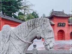 -洛阳白马寺
