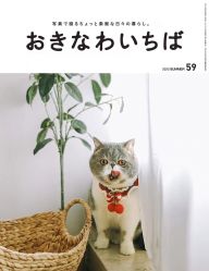 -ZOO KIDS象集摄影工作室(西城公馆店)