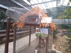 -呀路古热带植物园