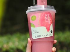 -星满杯TEAFUL(罗湖东门店)