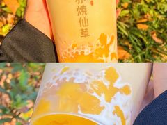 -书亦烧仙草(中南一路店)