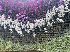 -石家庄市植物园