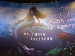 -武商摩尔影城(国广IMAX激光店)