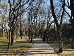 -玲珑塔公园