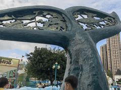 -海合安成都极地海洋公园