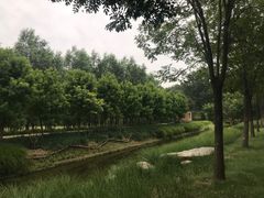 -东郊湿地公园