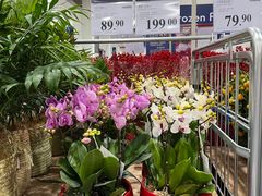 -山姆会员商店(邻瑞广场店)