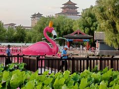 -莲花池公园