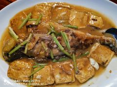 -顺德了能馆(虎门店)