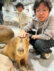 -Zoolung Zoolung动物主题公园(海信广场店)