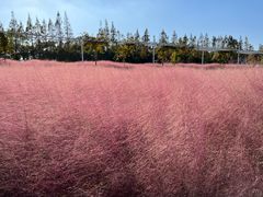 -嘉北郊野公园