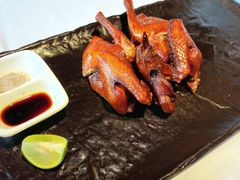 -侨美·唐荔园·40年地道粤菜