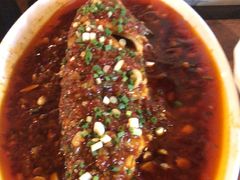 -龙抄手食府(浣花北路店)