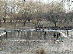 -长春公园(普阳街道)