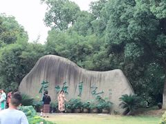 -荷塘月色湿地公园·向阳花洲