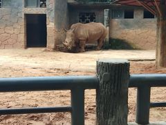-昆明动物园
