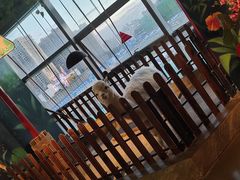 -昆明大悦城未来动物城(螺蛳湾中心店)