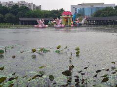 -映月湖公园