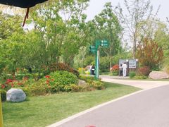 -昆山城市生态森林公园