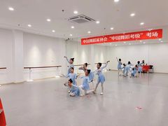 -飞童凡响艺术学校(松江区九里亭校区)