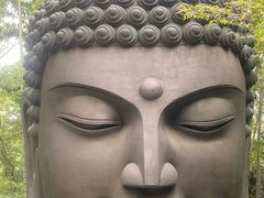 -杭州植物园