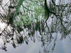 -趵突泉景区