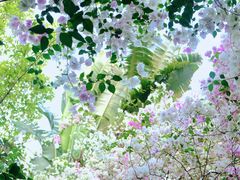 -深圳国际园林花卉博览园