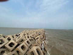 -东疆建设开发纪念公园