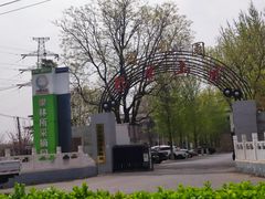 -北京西山国家森林公园