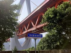 -茶家小妹