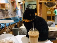 -滚猫咖啡·猫咖·猫友好撸猫(未来城店)