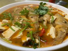 -煲来饱去冷水鱼