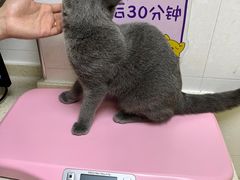 -芭比堂动物医院广州顽皮分院