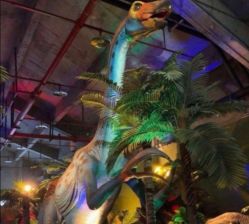 -恐龙探索乐园(磁器口店)