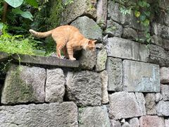 -鼓楼(西湖风景名胜区)