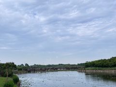 -上海海湾国家森林公园