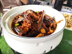 -张鸟园农家乐(张鸟园店)
