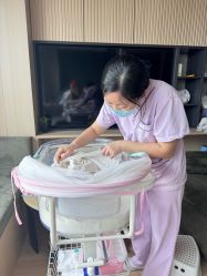 -禧月荟S月子中心(侨城店)