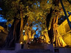 -龙环葡韵住宅式博物馆