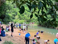 -广州白江湖森林公园