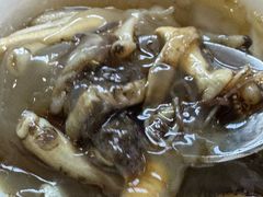 -安海长火土笋冻