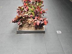 -阿伟海鲜楼·福建菜(涵江店)